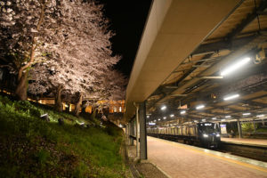 相模鉄道弥生町駅、ライトアップ実施。イルミ×鉄道　の写真は撮れるのか？