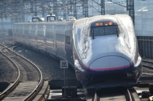 【東のスタンダード新幹線】E2系を詳しく解説！